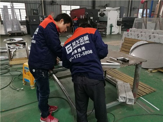 公司员工工作照